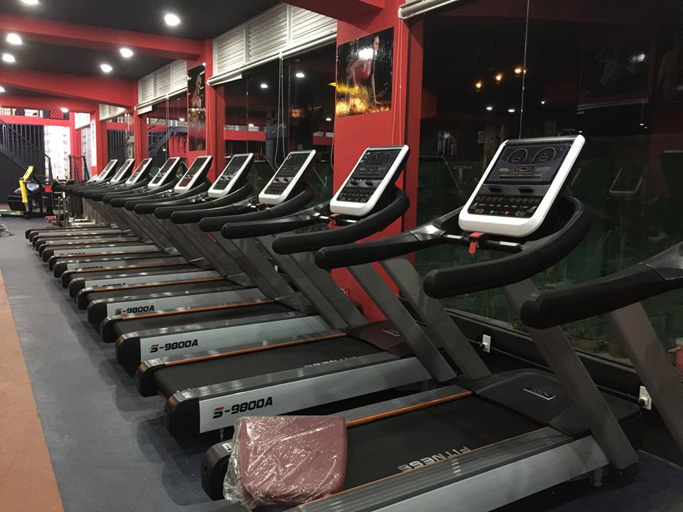 Máy chạy bộ MBH S-9800 (TFT) cao cấp cho bạn