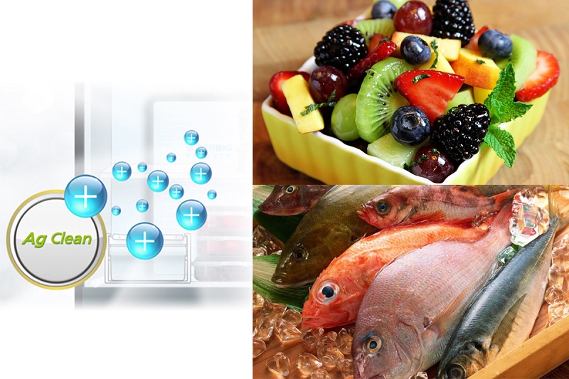 Khử sạch mùi hôi và vi khuẩn bên trong tủ lạnh Khử sạch mùi hôi và vi khuẩn bên trong tủ lạnh